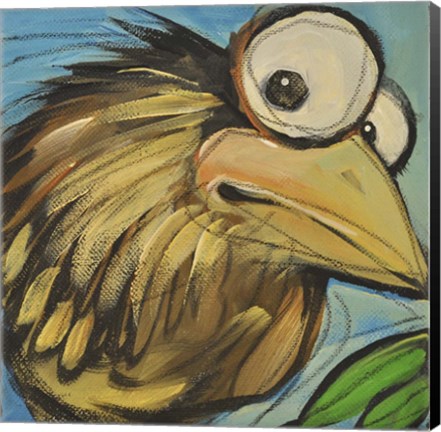 Framed Feather Bird 24 Print