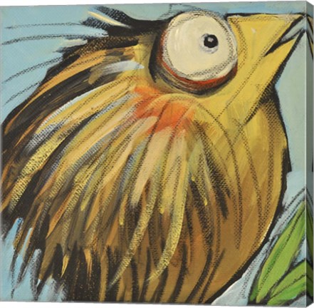 Framed Feather Bird 25 Print