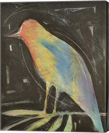 Framed Rainbow Bird Print