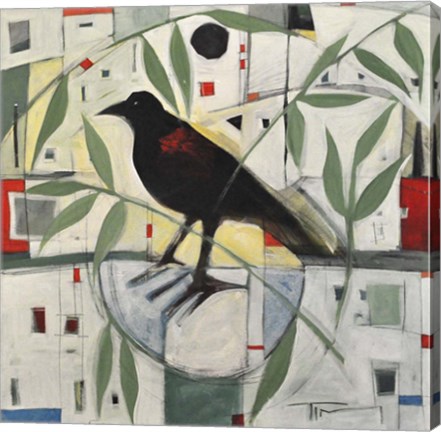 Framed Redwing And Branches Print