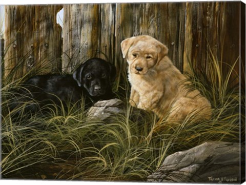 Framed Lab Pup Pair Print