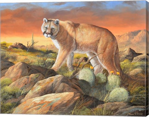 Framed Sonoran King Print