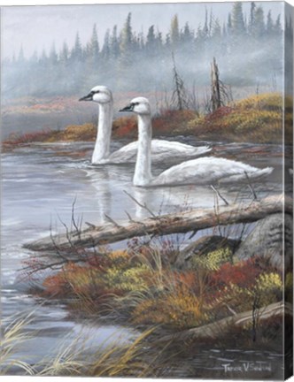 Framed Quiet Passby Print