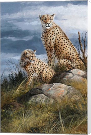 Framed At Watch On The Plains Print