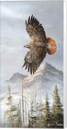 Framed Binking In Flight Print