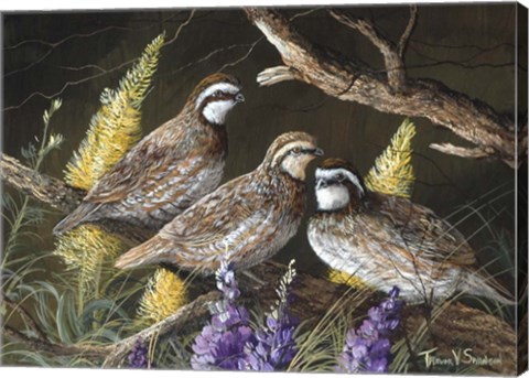 Framed Bobwhite Trio 1 Print