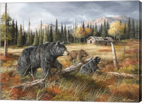 Framed Careful Through The Meadow Print