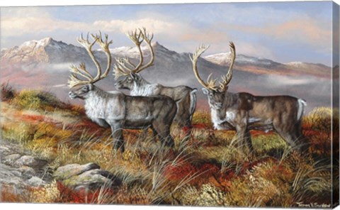 Framed Cold Alaskan Ridge Print