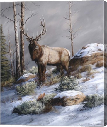 Framed Cold Ridge Watcher Print