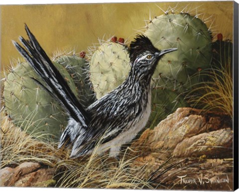Framed Desert Runner Print