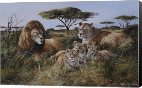 Framed Lion Family Print