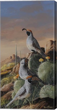 Framed Gambel Trio Print