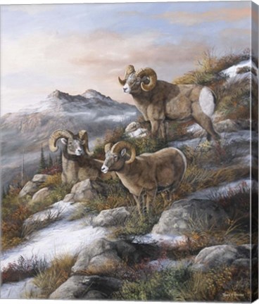 Framed High Country Kings Print
