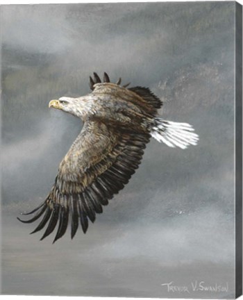 Framed In Flight Print