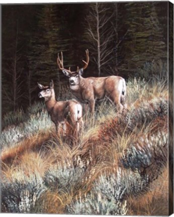 Framed Last Light Print