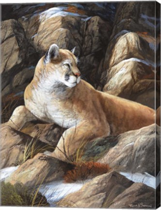 Framed Last Warm Rays Print