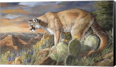 Framed Lord Of The Canyon Print