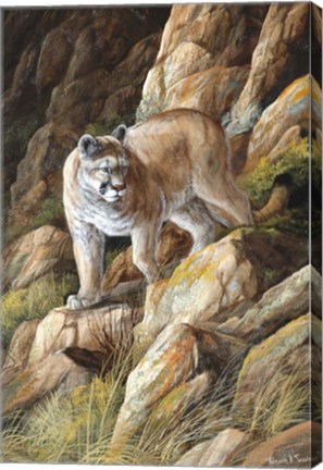 Framed Perfect Camouflage Print