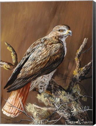 Framed Ponderosa Hunter Print