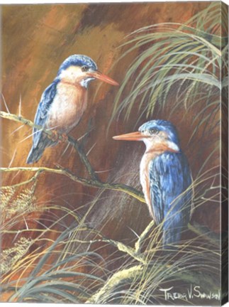 Framed Resting Fishers Print