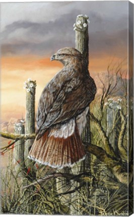 Framed Saguaro Hunter Print
