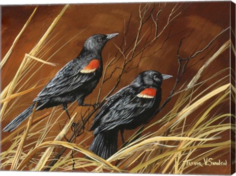 Framed Singers Of Fall Print