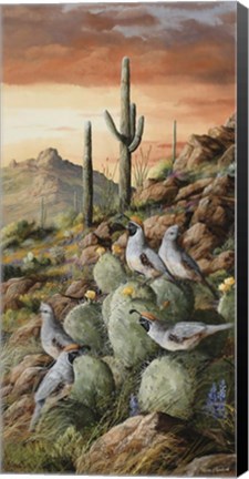 Framed Sunset In Sonora Print