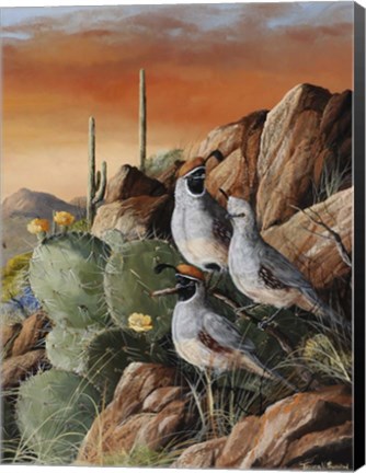Framed Trio In Spring Print