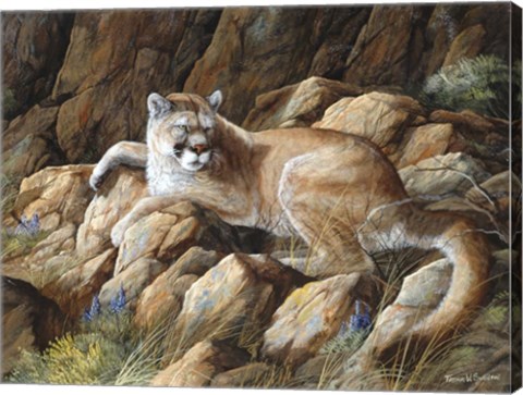 Framed Warm Resting Spot Print