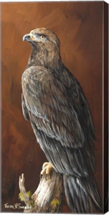 Framed Watchful Print