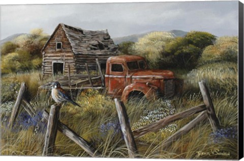 Framed Well Worn Perch Print