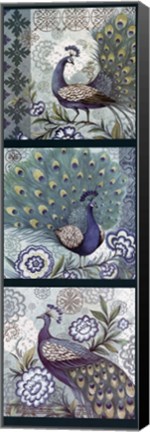 Framed Peacock Blues Print