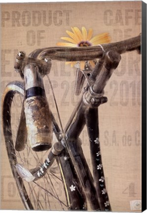 Framed Pearl Street Cycle Print