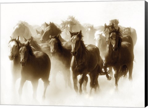 Framed Windstorm Print