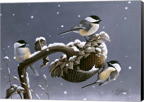 Framed Winter Trio Print