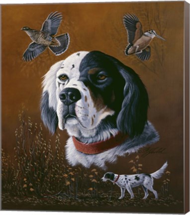 Framed English Setter Print