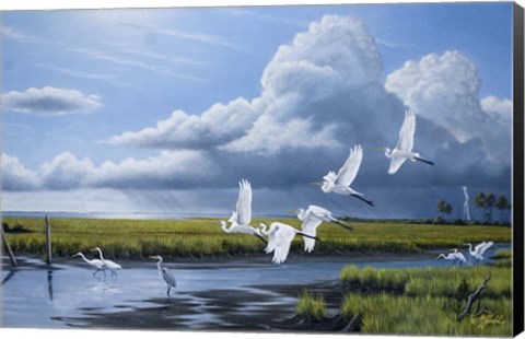 Framed Summer Storm Egrets Print