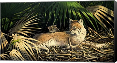 Framed Sunny Spot Bobcat with Kittens Print