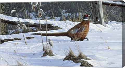 Framed Fenceline Strut Print