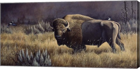 Framed Bison And Magpies Print