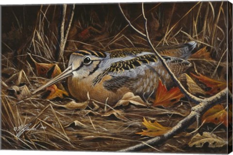 Framed Woodcock In Hiding Print