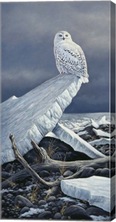 Framed Lakeshore Ice Print