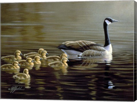 Framed Leading The Way Print