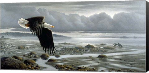 Framed Lowtide - Bald Eagle Print
