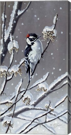 Framed Winter Berries Print