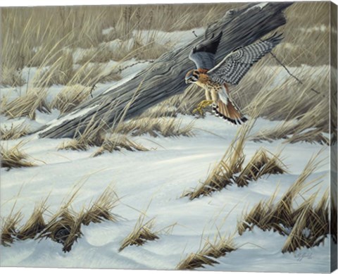 Framed Hit Or Miss Print