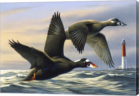 Framed Surf Scooters Print