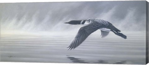 Framed Misty Flight Print