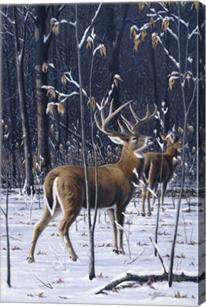 Framed Buck In His Prime Print