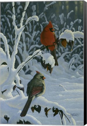 Framed Cardinals &amp; Brambles Print